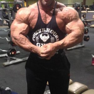 2014 bodybuilding images