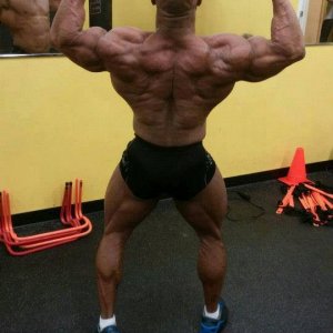 2014 bodybuilding images