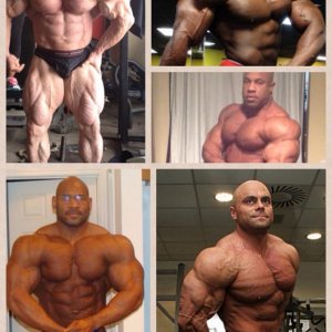 2014 bodybuilding images