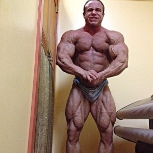 2014 bodybuilding images