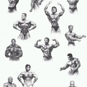 2014 bodybuilding images