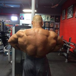 2014 bodybuilding images