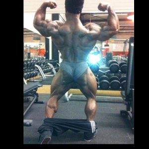 2014 bodybuilding images