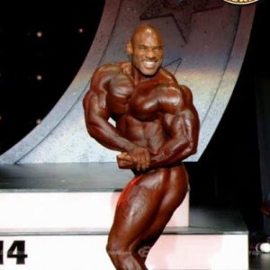 2014 bodybuilding images