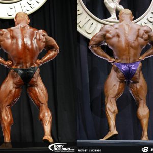 2014 bodybuilding images