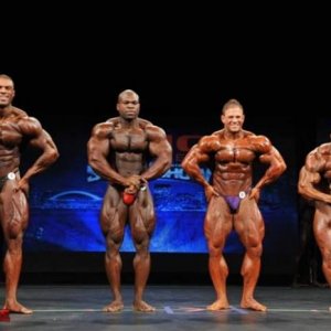 Bodybuilding images 2014