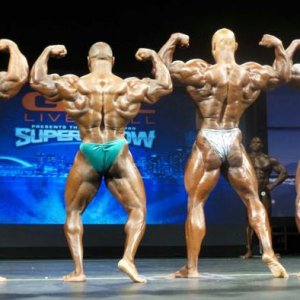 Bodybuilding images 2014