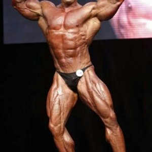 Bodybuilding images 2014