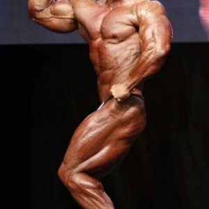 Bodybuilding images 2014