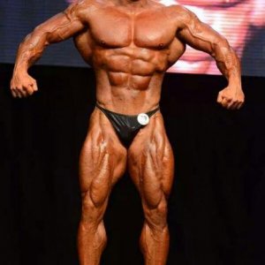 Bodybuilding images 2014