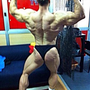 Bodybuilding images from 2014