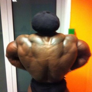 Bodybuilding images from 2014