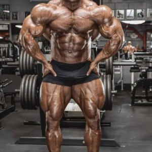 Bodybuilding images from 2014