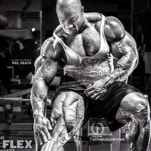 Bodybuilding images from 2014