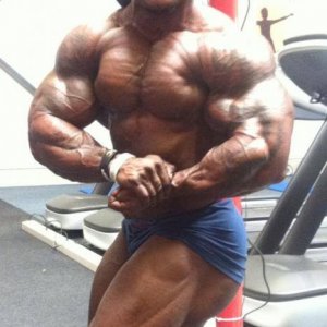 Bodybuilding images from 2014