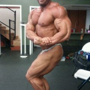 Bodybuilding images from 2014