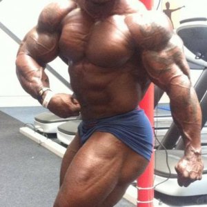 Bodybuilding images from 2014