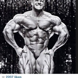 Bodybuilding images 2014