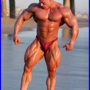 Bodybuilding images 2014