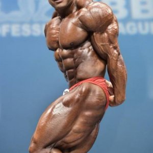 Bodybuilding images 2014