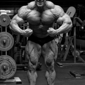 Bodybuilding images 2014