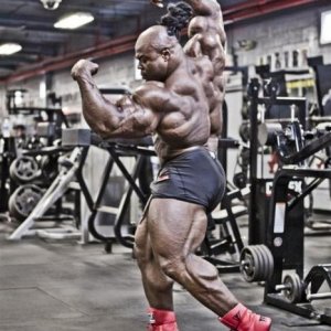 Bodybuilding images 2014