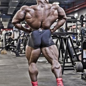 Bodybuilding images 2014