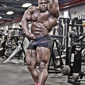 Bodybuilding images 2014