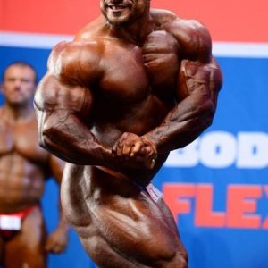 2014 Bodybuilding Images