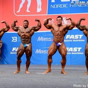 2014 Bodybuilding Images