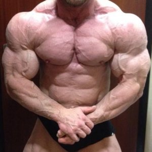 2014 Bodybuilding Images