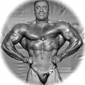 2014 Bodybuilding Images