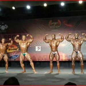 Bodybuilding images 2014