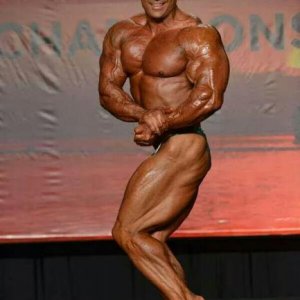 Bodybuilding images 2014