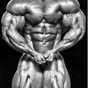 2014 Bodybuilding Pics