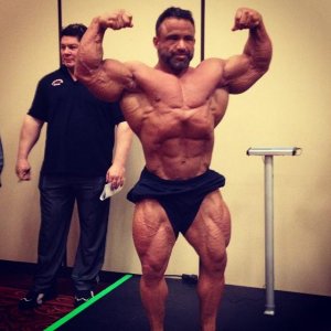 2014 Bodybuilding Pics