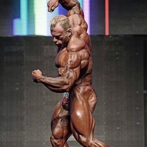 2014 Bodybuilding Pics