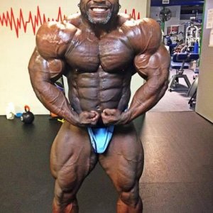 2014 Bodybuilding Pics