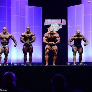 2014 Bodybuilding Pics