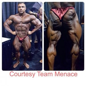 2014 Bodybuilding Pics