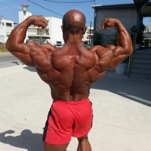 2014 Bodybuilding Pics