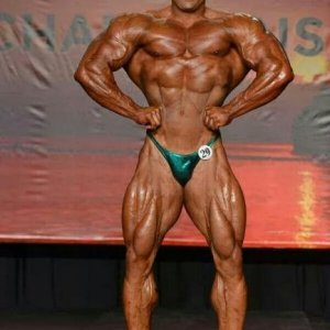 2014 Bodybuilding Pics