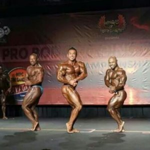 2014 Bodybuilding Pics