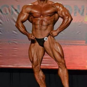 2014 Bodybuilding Pics