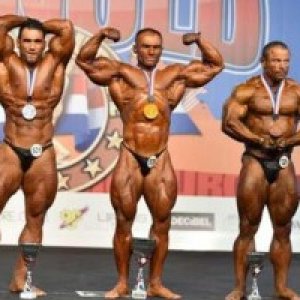 2014 Bodybuilding Pics