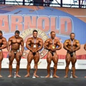 2014 Bodybuilding Pics