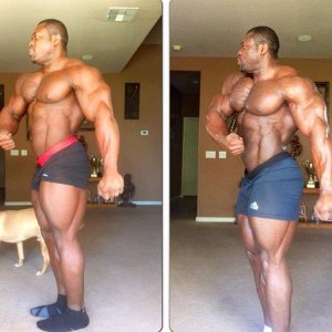 2013 Bodybuilding Images