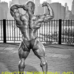 2013 Bodybuilding Images