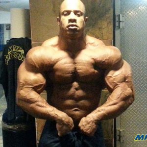 2013 Bodybuilding Images