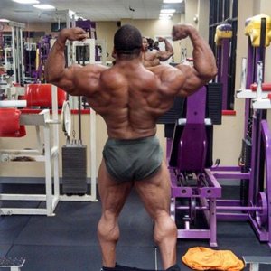 2013 Bodybuilding Images